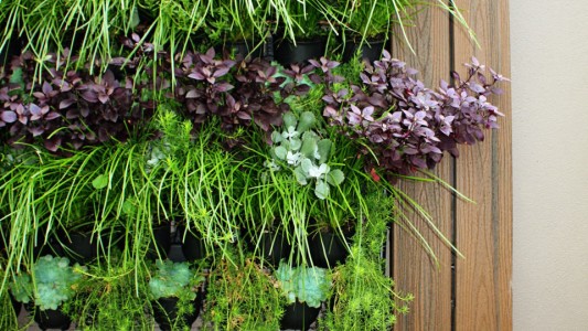 Preparing Your Garden For Summer