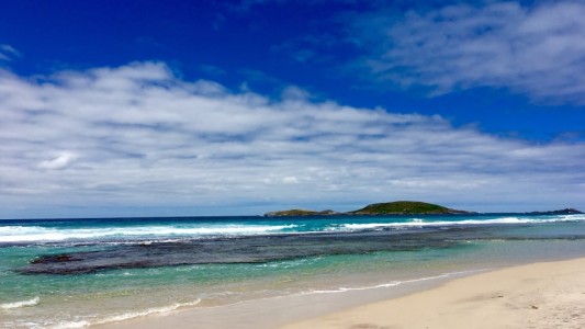 Creating Coastal Gardens to Survive & Thrive. Part 1.
