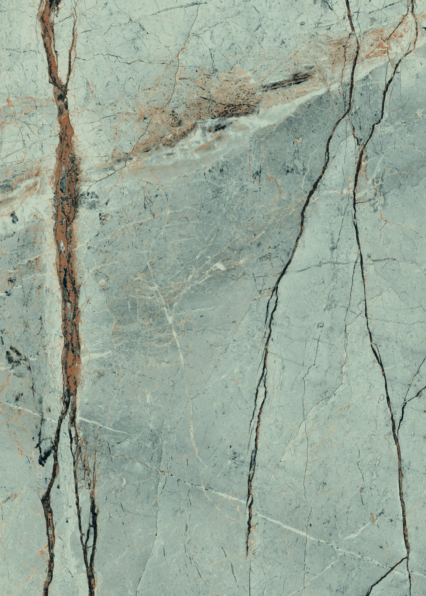 513 Striata