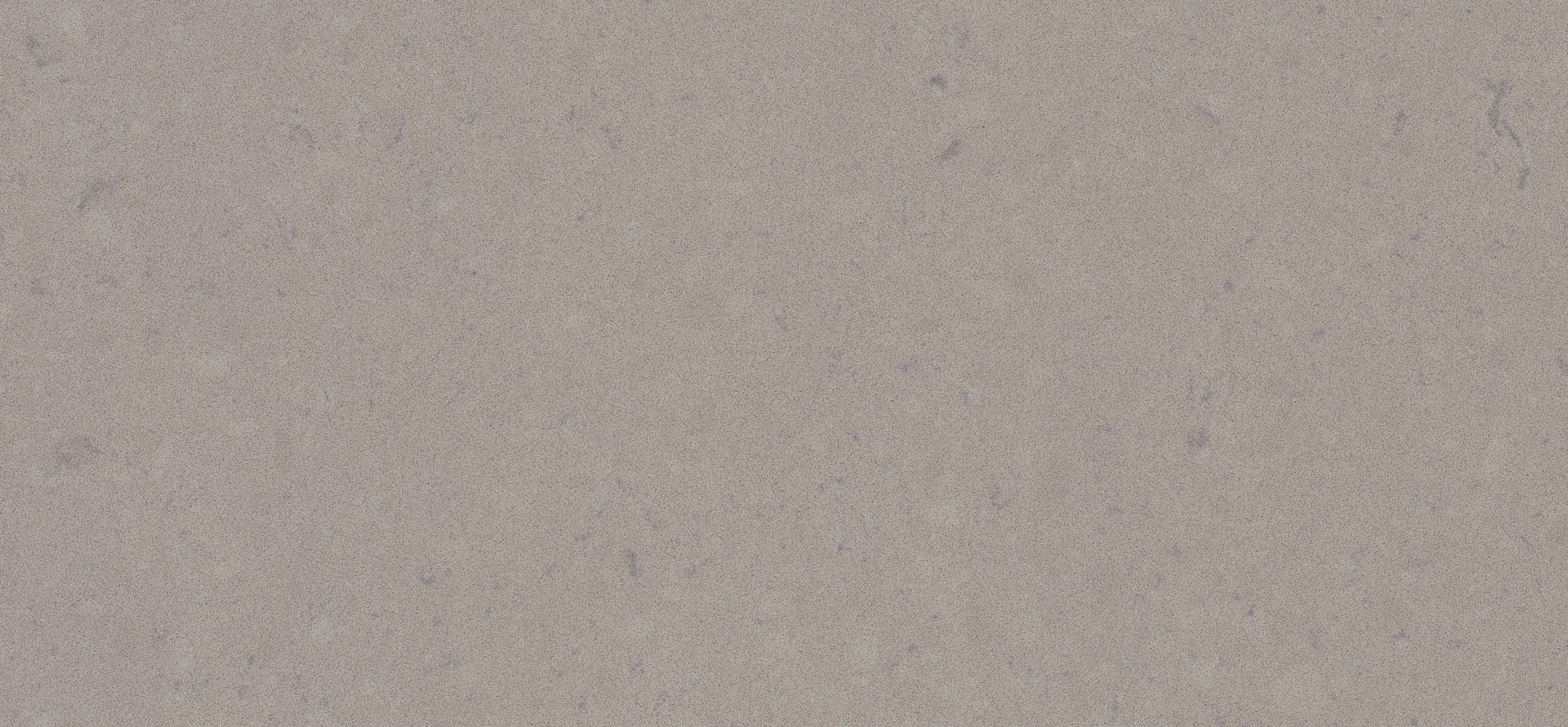 4030 Oyster