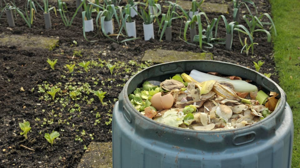 A simple guide to creating your own compost