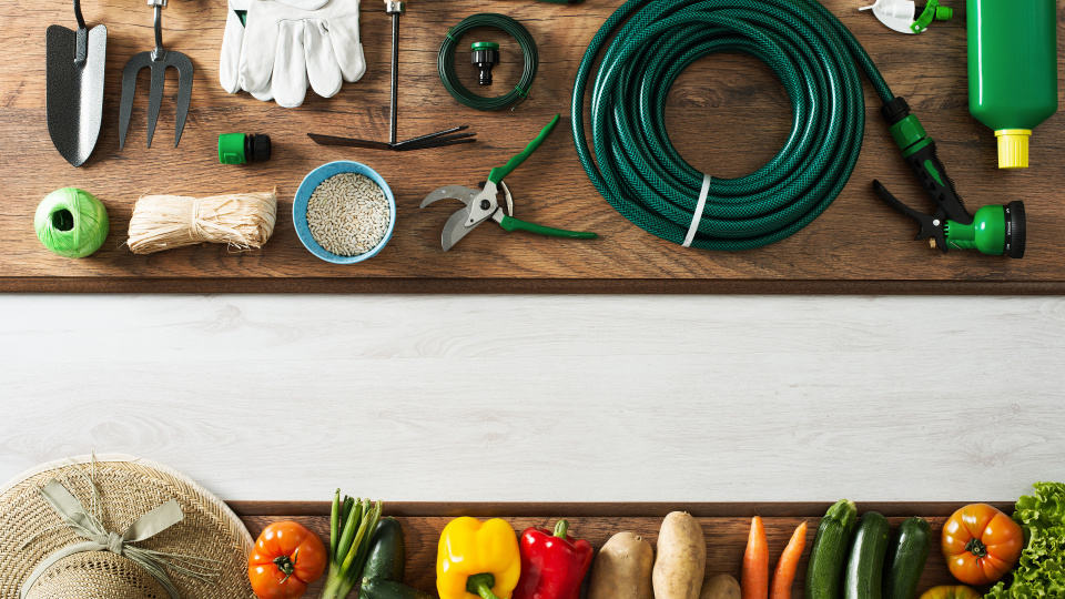 How To Grow Your Own Edible Garden